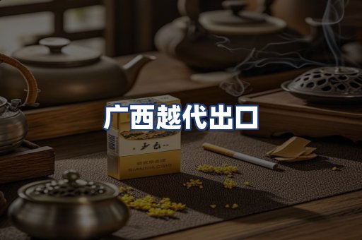 广西越代出口